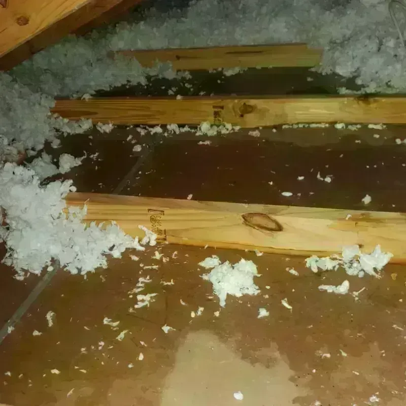 Attic Water Damage in Friendswood, TX