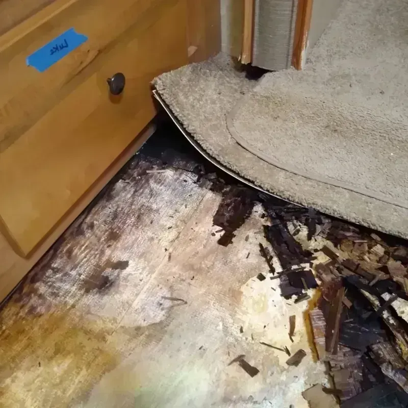 Best Wood Floor Water Damage Service in Friendswood, TX